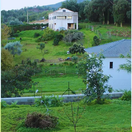 Maison Familiale Querciolo Proche Des Plages